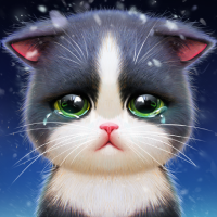 Kitty Match