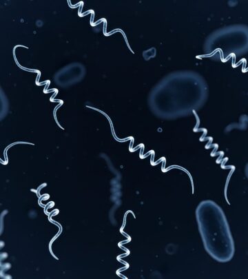 Understand leptospirosis: causes, symptoms, prevention, and treatment of this bacterial infection from contaminated water and animals.